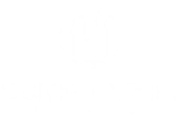 Guided Belgium Visits